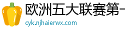 欧洲五大联赛第一个六冠王